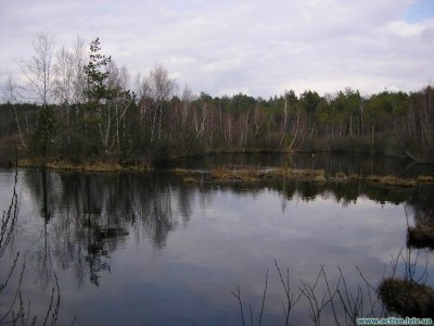 Рыбалка у села Добростаны в Львовской области-3