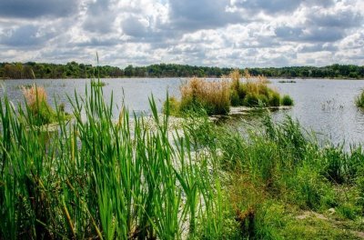 Рыбалка у села Новый Яр в Львовской области-1