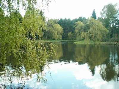 Рыбалка у села Солыги в Львовской области-2