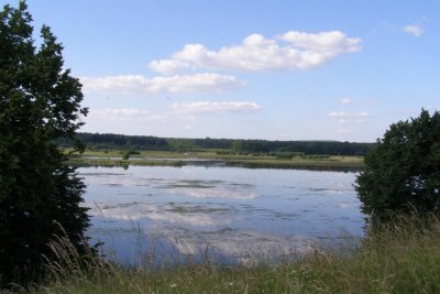 Рыбалка в Головчинцах Хмельницкой области