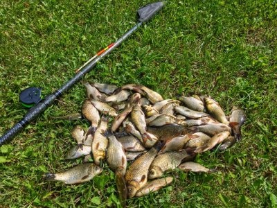 Рыбалка в селе Масевцы 