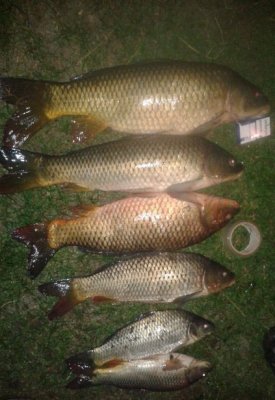 Рыбалка в Плужном Хмельницкой области