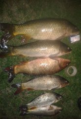 Рыбалка в Плужном Хмельницкой области