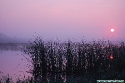 Рыбалка в поселке Шкло в Львовской области-5