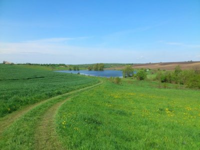 Рыбалка в селе Долиняны в Львовской области-4