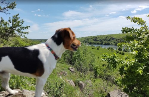 Рибалка у селі Канава Вінницької області