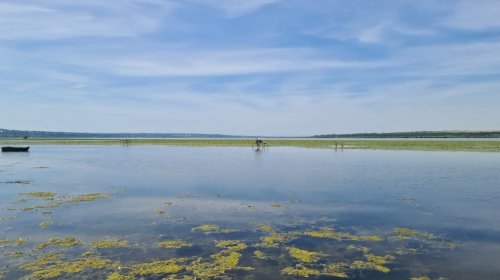 Рибалка у селі Канава Вінницької області