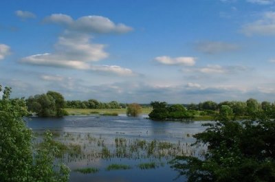 Рыбалка в селе Купче в Львовской области-2