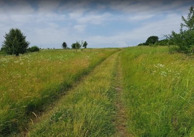 Рибалка у селі Оброшині