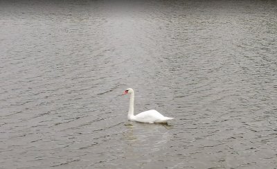 Рибалка у селі Оброшині