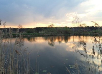 Рибалка у селі Оброшині