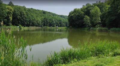 Рибалка у селі Оброшині