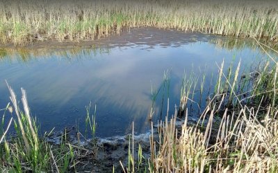 Рибалка у селі Старий Яричів