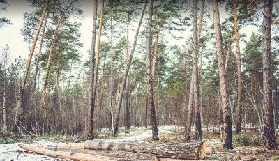 Рибалка у селі Старий Яричів