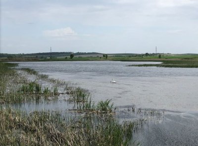 Рыбалка в селе Зиболки в Львовской области-2
