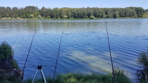 Рыбалка в Шалиевке Киевской области