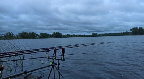 Рыбалка в Шалиевке Киевской области