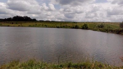 Рыбалка в Слободке Хмельницкой области-2