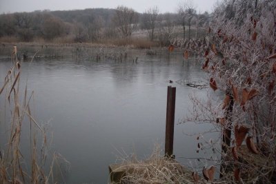 s320160930-12944-1pnmetd20160930-12944-1fv3ytu20160930-12944-1mhwmna