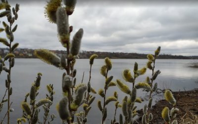 Рыбалка на Царском озере