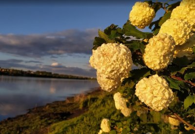 Рыбалка на Царском озере